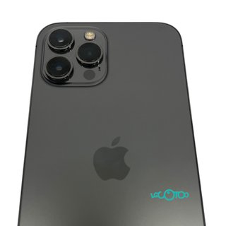 iPhone 12 Pro Max 256GB Grigio Siderale