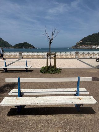 Oficina en alquiler en Centro en San Sebastián-Donostia