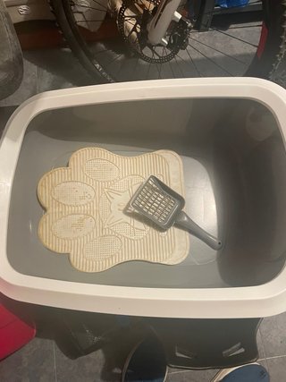 Caja de arena para gatos