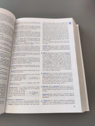 Dizionario monolingue francese