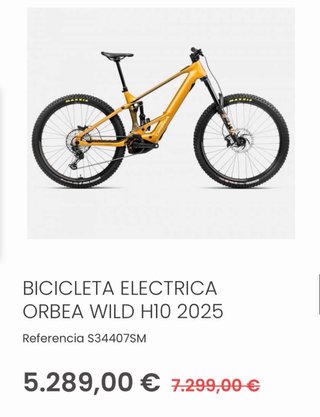 Orbea Wild H10