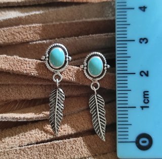 Pendientes Plata de Ley 925 con Esmaltado Turquesa