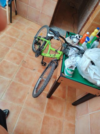 Bicicleta verde