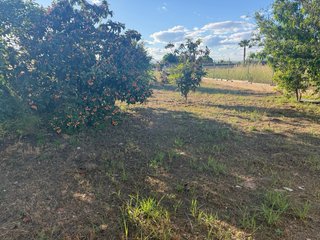 Nave diáfana 180 m² con terreno
