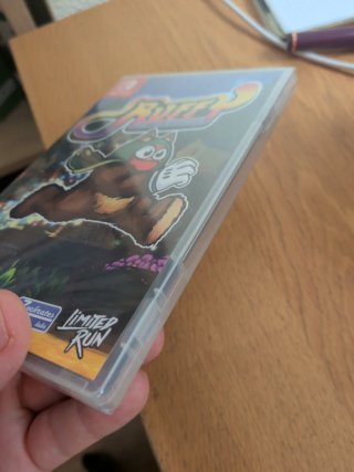 Ruffy and the Riverside Nintendo Switch