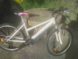 Dos bicicletas MTB