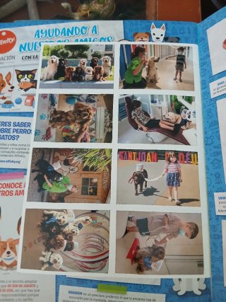 Álbum Animales Mundo 2020 Panini