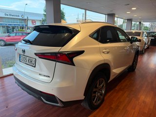 Lexus NX 2018