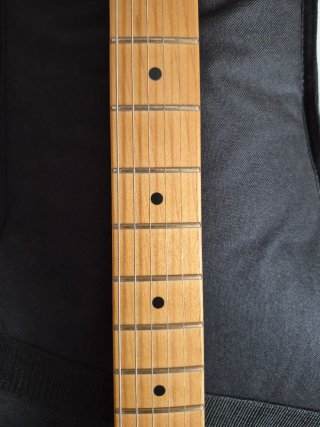 Fender Player Plus Telecaster