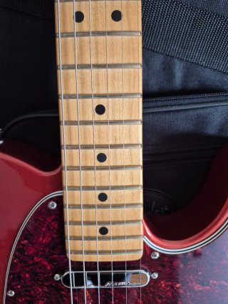 Fender Player Plus Telecaster
