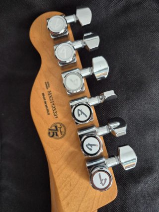 Fender Player Plus Telecaster
