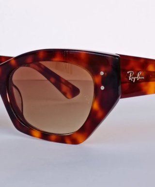 Occhiali da sole Ray-Ban Tortora