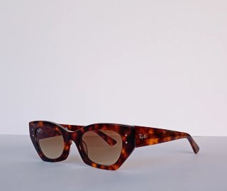 Occhiali da sole Ray-Ban Tortora
