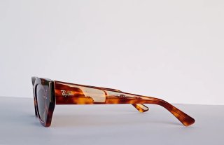 Occhiali da sole Ray-Ban Tortora
