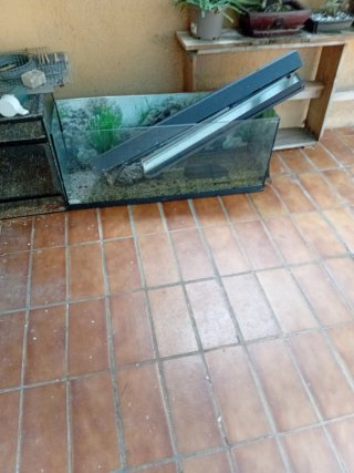 Pecera grande con luz