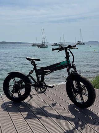 Bicicleta Eléctrica Fiido M1 Pro Fat Tyre