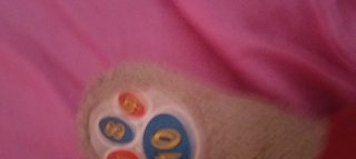 Oso de peluche educativo VTech