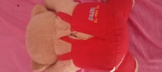 Oso de peluche educativo VTech
