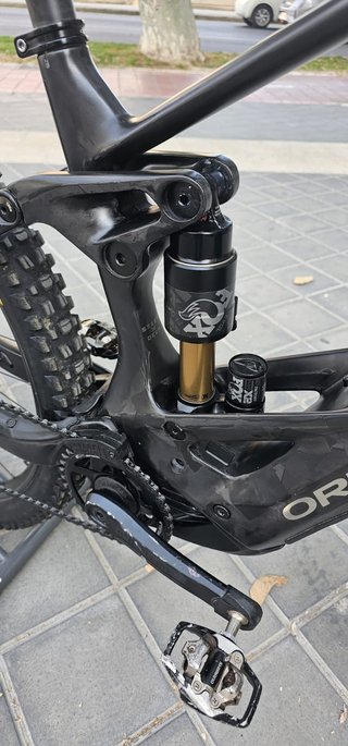 Orbea Wild M10 Custom
