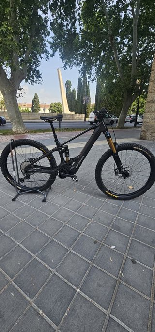 Orbea Wild M10 Custom
