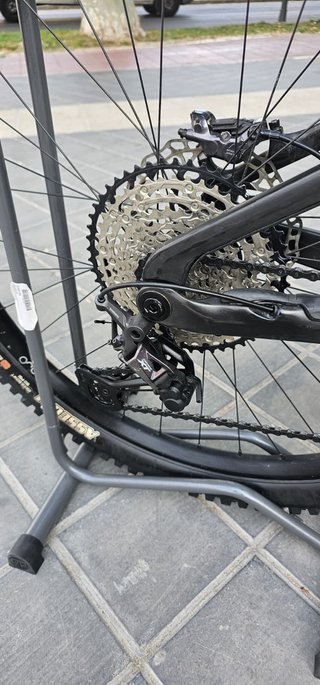 Orbea Wild M10 Custom