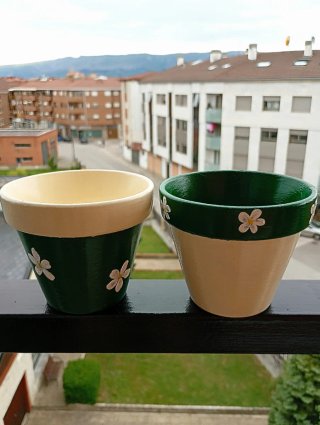 Set di vasi artigianali - Piante grasse
