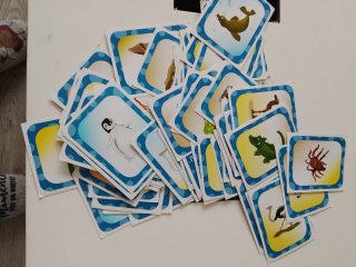 Juego de mesa ItsImagical Zoo