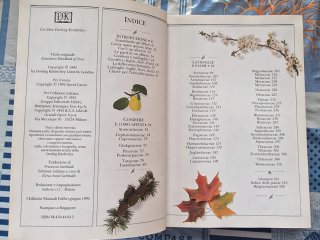 Alberi: Guida fotografica Fabbri Editori