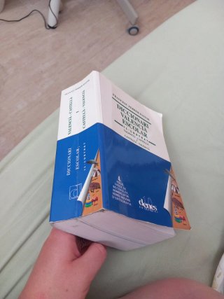 Diccionari valencià escolar il.lustrat.