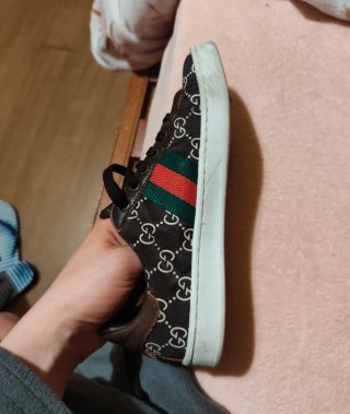Zapatillas Gucci Marrón Multicolor poco uso