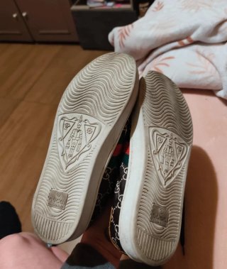 Zapatillas Gucci Marrón Multicolor poco uso