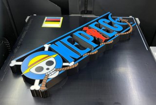 Logo One Piece