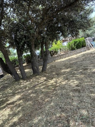Se ofrece jardinero