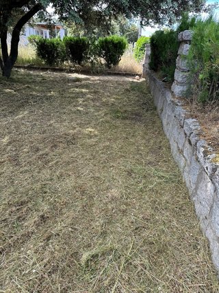 Se ofrece jardinero