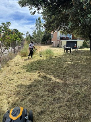 Se ofrece jardinero