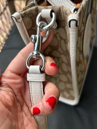 Bolso Coach Marrón Multicolor