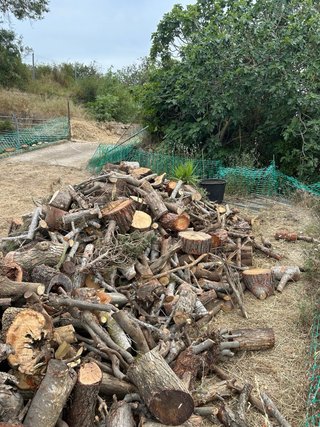 Leña para chimenea o barbacoa
