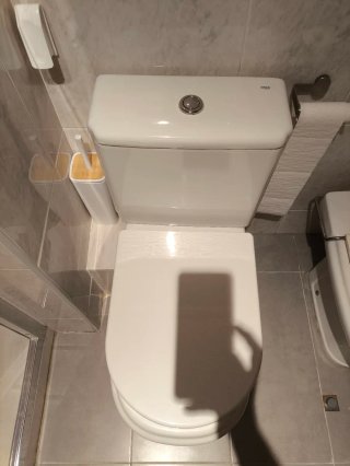 Inodoro Roca Porcelana Blanco