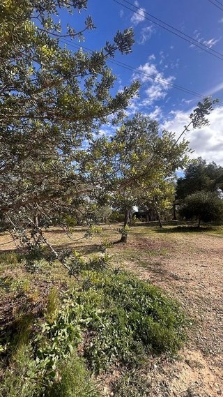 Chalet en venta en Entrepinos en Eliana (l´)