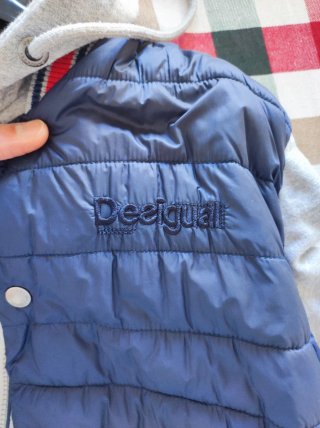 Chaqueta Desigual azul y gris