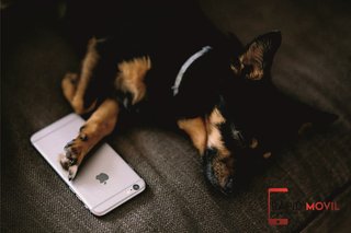 iPhone 17 Negro/Gris