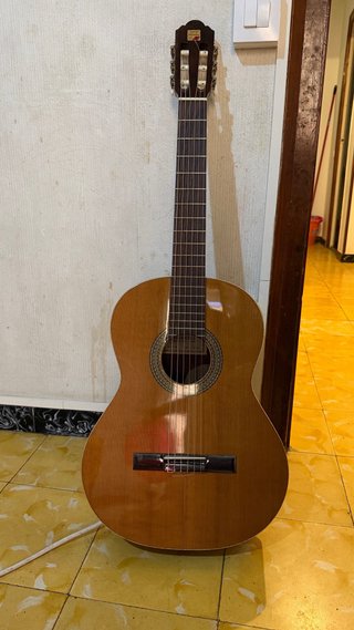 Guitarra Alhambra 2C con funda
