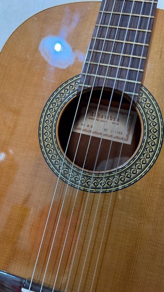 Guitarra Alhambra 2C con funda