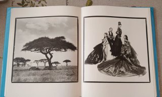 Patrick Demarchelier  Exposing elegance.