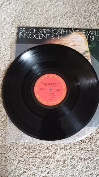 Vinile Bruce Springsteen The Wild, The Innocent
