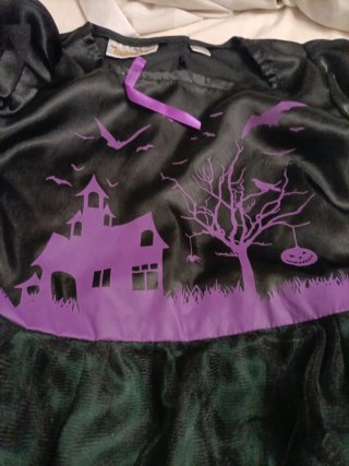 Disfraz Halloween Bruja Casa Embrujada talla 9 año