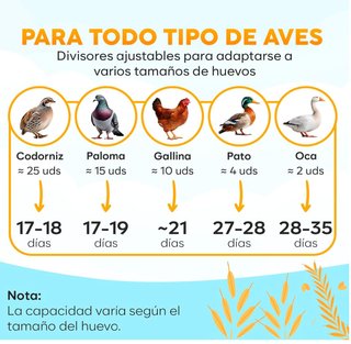 Incubadora Automática para 12 Huevos NUEVA