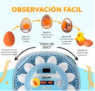 Incubadora Automática para 12 Huevos NUEVA