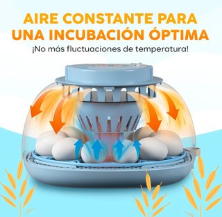 Incubadora Automática para 12 Huevos NUEVA