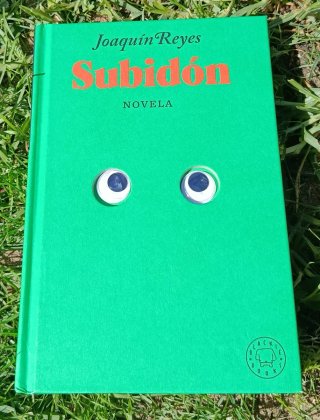 Libro Subidón, Joaquín Reyes